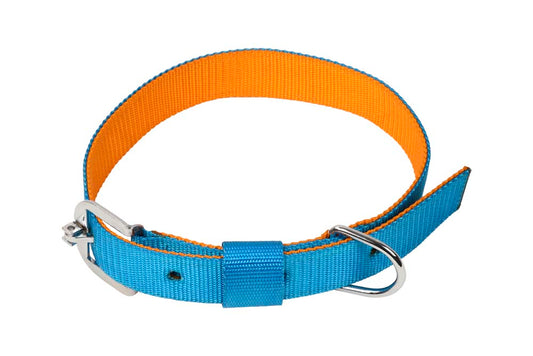 Kennel Soft Two-Color Nylon Dog Collar – Lightweight 1/2" Adjustable Collar for Small Breeds