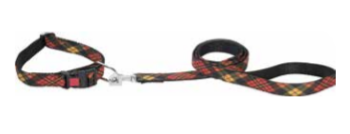 Kennel Urban Prints Dog Collar & Leash Set – 3/4 Inch - Kennel