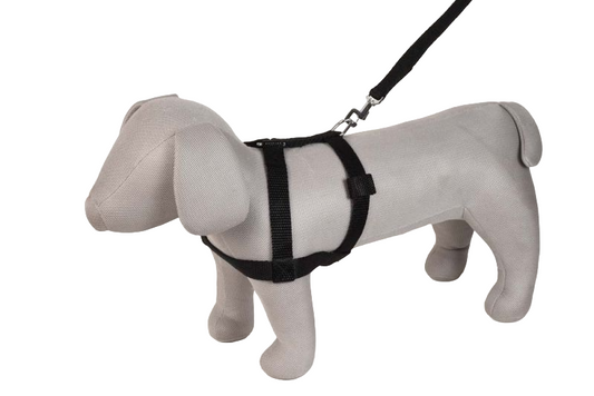 Kennel Nylon Body (1") | Adjustable & Comfortable Dog Harness