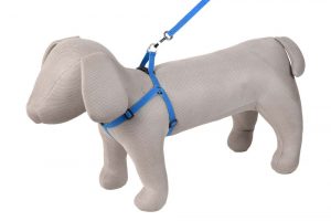 Kennel Furlon Adjustable Harness & Leash Set (1/2") – Soft, Durable & Secure Dog Walking Set