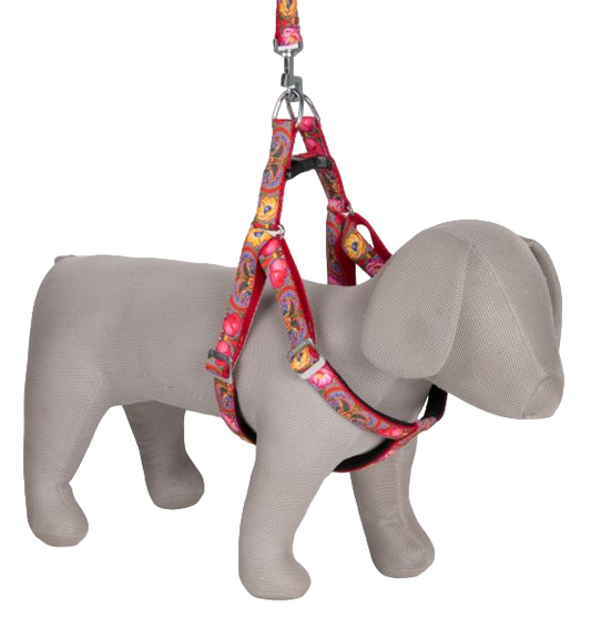 Kennel Urban Prints Padded Adjustable Harness & Leash Set (1 Inch) – Stylish Printed Nylon Padded Dog Harness Combo for Medium to Large Dogs - Kennel