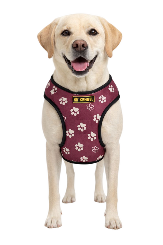 Kennel Printed Step In Harness