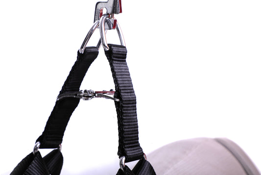 Kennel Foam Padded Soft Nylon Adjustable Harness (1") – Large | Comfortable No-Pull Dog Harness - Kennel