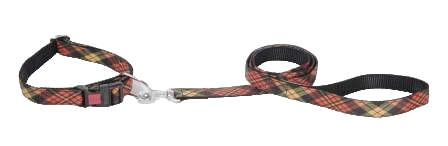 Kennel Urban Prints Collar & Leash Set (1 Inch) – Stylish Printed Nylon Collar and Leash Combo for Medium Dogs - Kennel