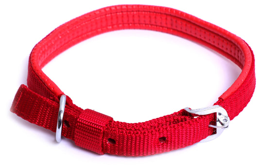 Kennel Foam Padded Nylon Collar (1") | Comfortable & Durable Dog Collar