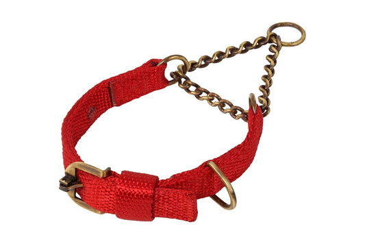 Kennel Premium Nylon & Brass Martingale Collar – No.1 Size, 4mm Chain, 1.25" Width