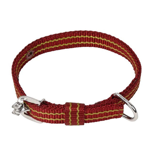 Kennel Nylon Pattern Dog Collar – Lightweight Design Collar