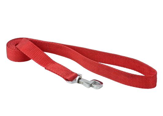 Kennel Premium Nylon Leash (1") (48") | Durable Everyday Dog Leash