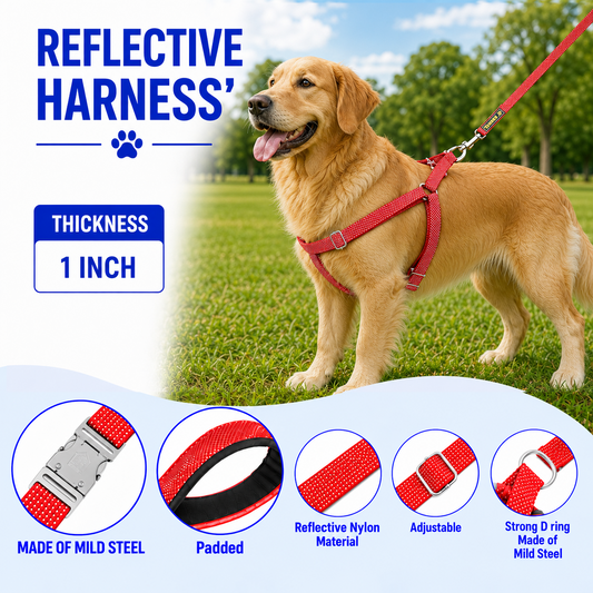 Reflective Padded Dog Harness – 1 Inch | Kennel