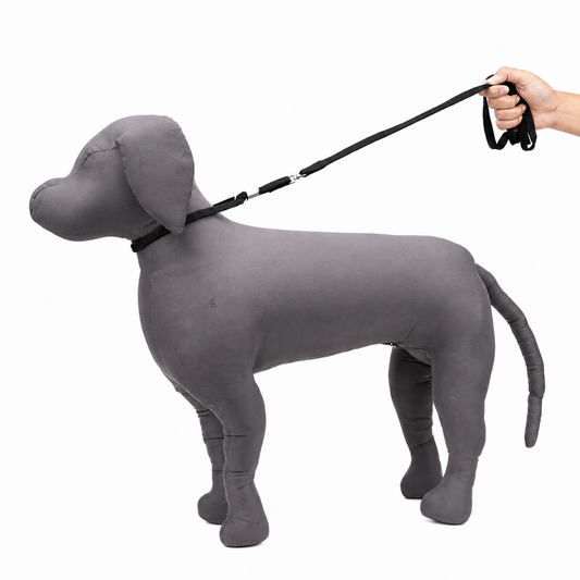 Kennel Tubular Nylon Show Leash – Lightweight Training & Handling Lead