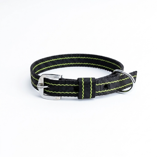 Kennel Nylon Pattern Dog Collar – Lightweight Design Collar