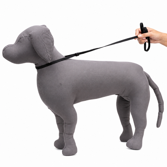 Kennel Nylon Show Leash | Lightweight & Professional Dog Show Lead