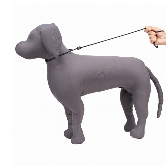 Kennel Nylon Show Leash Cord With Flat Clamp – Lightweight Training & Handling Cord