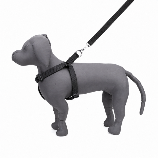 Kennel Padded Soft Nylon Adjustable Dog Harness – Lightweight Comfort Fit