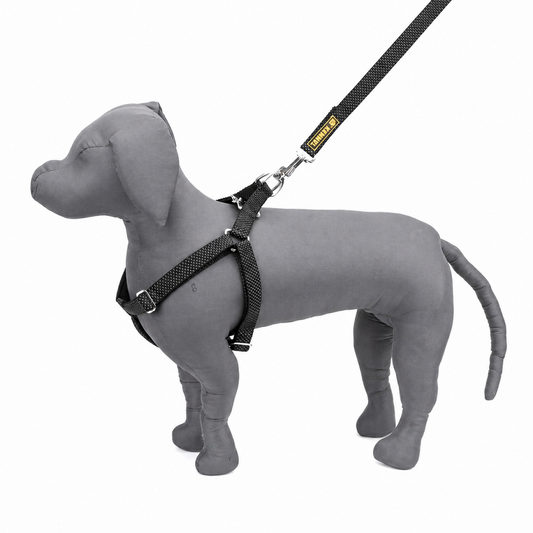 Kennel Premium Reflective Padded Nylon Dog Harness – Adjustable & Comfortable Safety Harness for Dogs