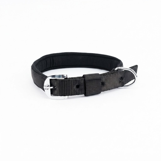 Kennel Padded Nylon Collar | Soft Comfort Everyday Dog Collar