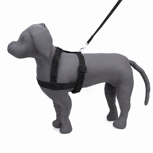 Kennel Premium Nylon Dog Body Belt – Adjustable Durable Body Harness
