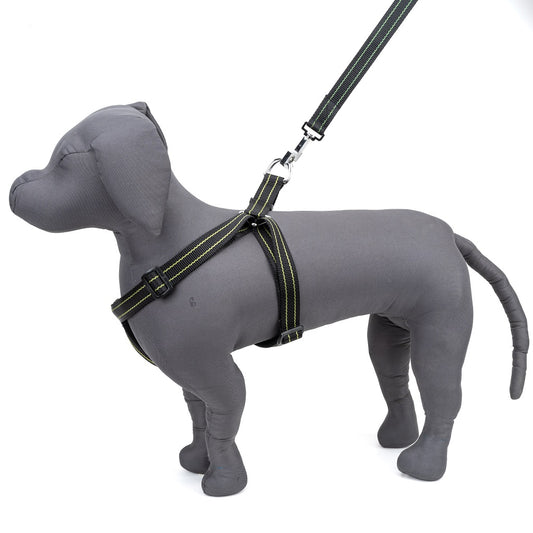 Kennel Padded Nylon Pattern Adjustable Harness – Comfortable & Durable Dog Harness