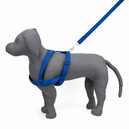 Kennel Padded Nylon Body Harness | Comfortable & Durable Dog Harness