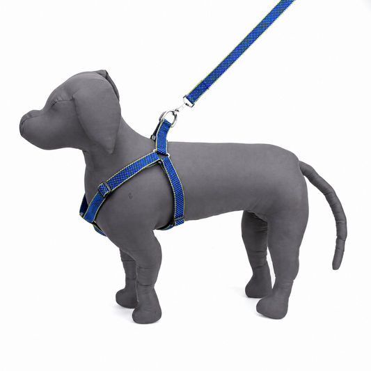 Kennel Padded Nylon Dotzy Adjustable Dog Harness