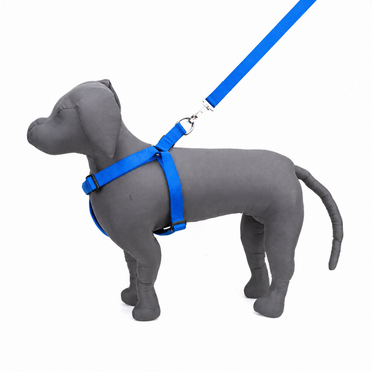 Kennel Padded Soft Nylon Adjustable Dog Harness – Lightweight Comfort Fit