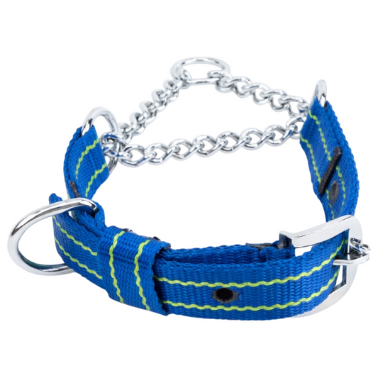 Dog Martingale Collar – Nylon & Chain, Adjustable