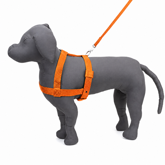 Kennel Premium Nylon Dog Body Belt – Adjustable Durable Body Harness