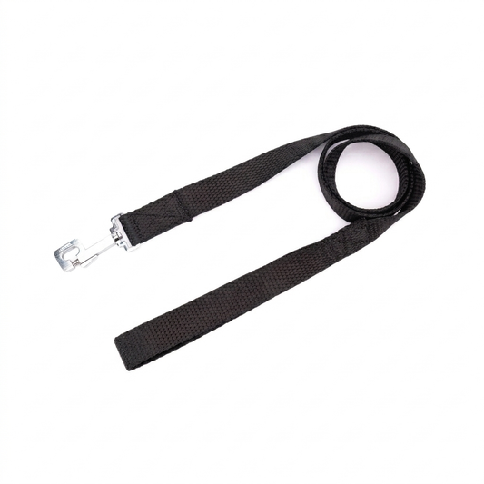 Kennel Premium Nylon Leash | Durable Everyday Dog Leash