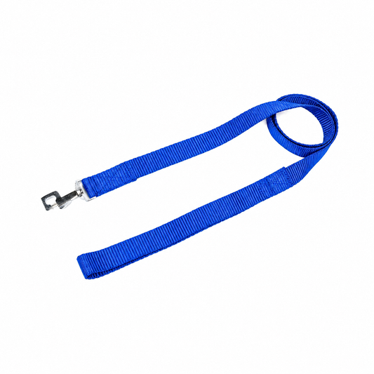 Kennel Soft Nylon Dog Leash – Lightweight & Durable Lead | Comfortable Grip for Daily Walks