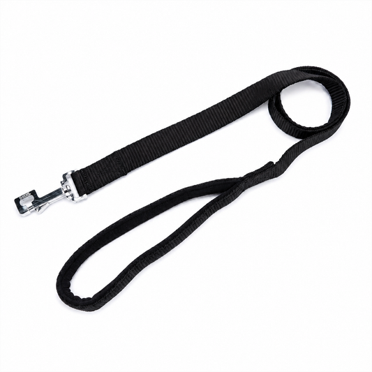 Kennel Padded Nylon Dog Leash – Soft Grip, 48 Inch