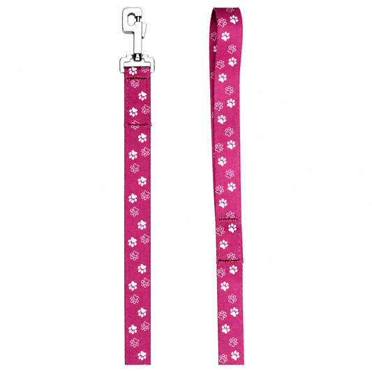 Purple Paws Print Nylon Dog Leash by Kennel