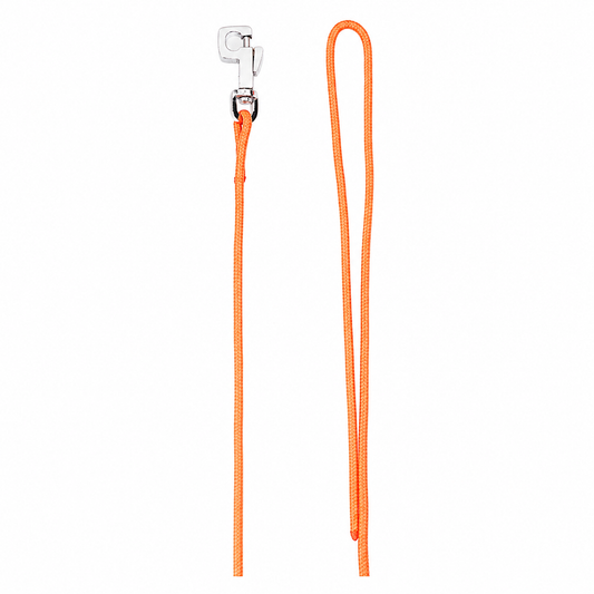 Nylon Cord Show Leash with Snap Hook for Dogs