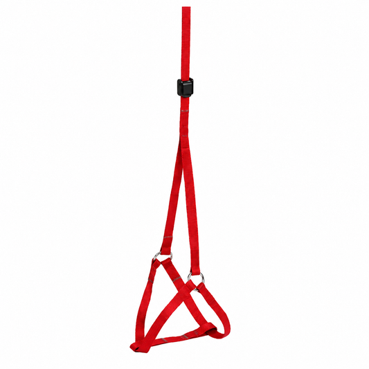 Cat Harness and Leash Set – Adjustable Nylon by Kennel