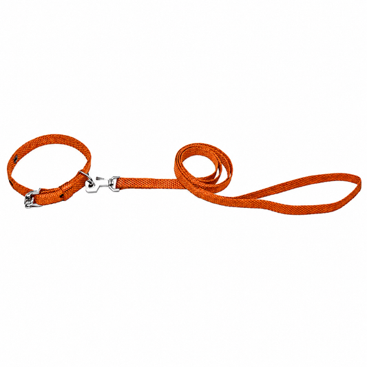 Nylon Dog Collar and Leash Set – Kennel Lightweight Walk