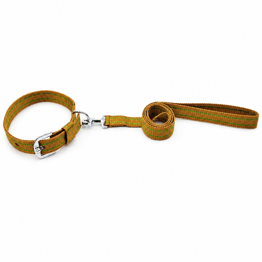 Kennel Patterned Nylon Dog Collar and Leash Set
