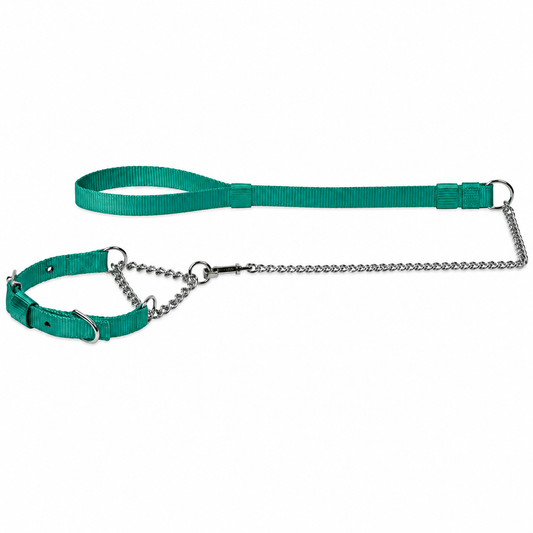 Kennel Soft Nylon Martingale Collar & Chain Leash Set