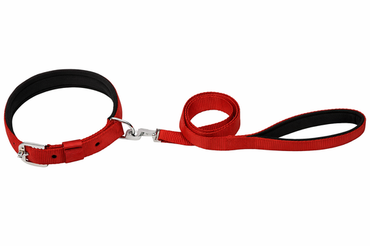 Kennel Padded Nylon Collar & Leash Set – Comfortable Adjustable Dog Walking Set