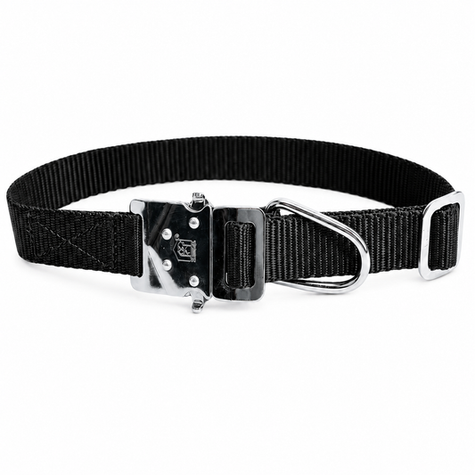 Premium Nylon Dog Collar with Metal Click Lock | Kennel