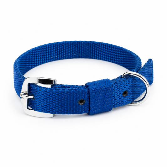 Nylon Dog Collar – Adjustable & Durable | Kennel