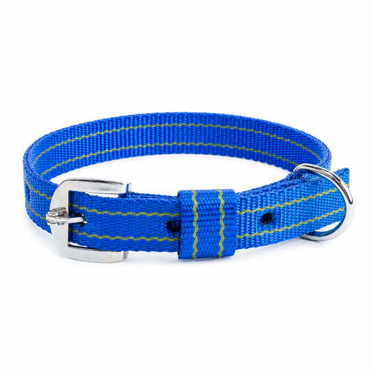 Kennel Nylon Pattern Dog Collar – Multi-Size