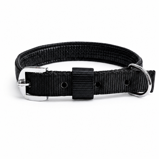 Foam Padded Dog Collar — Soft Nylon, Adjustable Fit