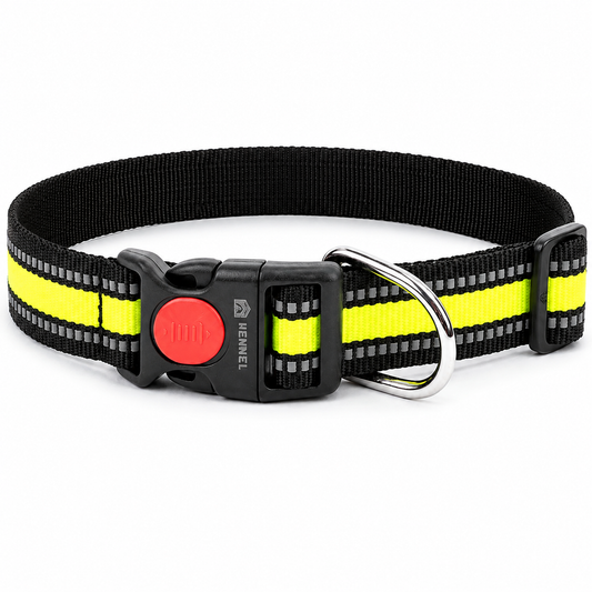 Kennel Reflective Dog Collar – Adjustable Nylon Safety