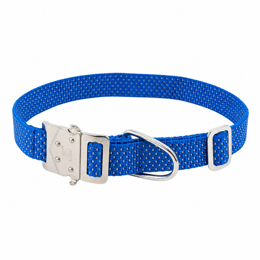 Kennel Reflective Dog Collar with M.S. Lock – 1 Inch
