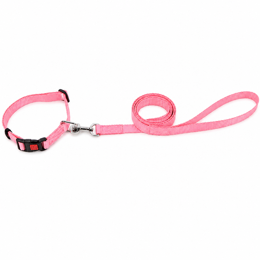 Kennel Soft Nylon Click Lock Dog Collar and Leash Set
