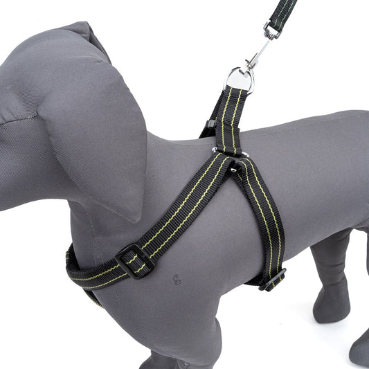 Dog Adjustable Padded Nylon Pattern Harness | Kennel