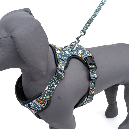 Dog Full Body Harness — Green Bones Print, No-Pull