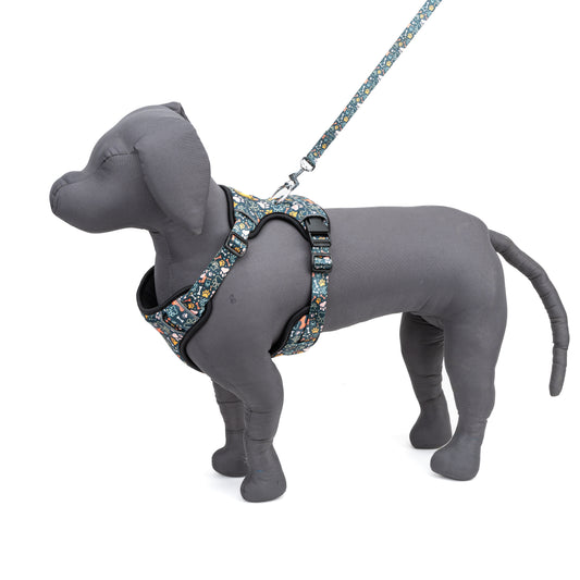 Dog Full Body Harness — Green Bones Print, No-Pull