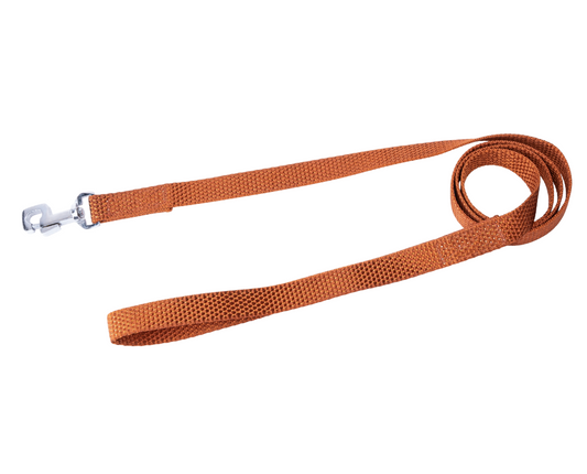 Kennel Nylon Leash – Lightweight & Durable Dog Leash