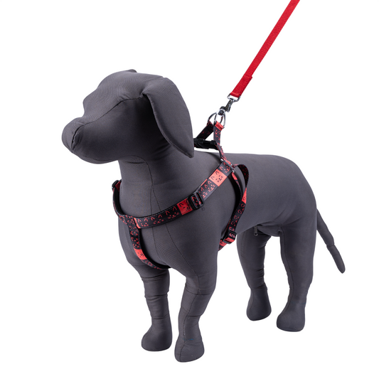 Kennel Printed Padded Adjustable Dog Harness