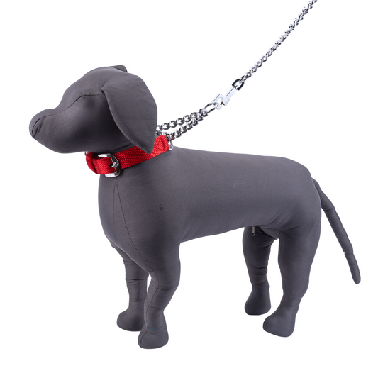 Kennel Premium Nylon Chain Martingale Collar – Adjustable Training Collar